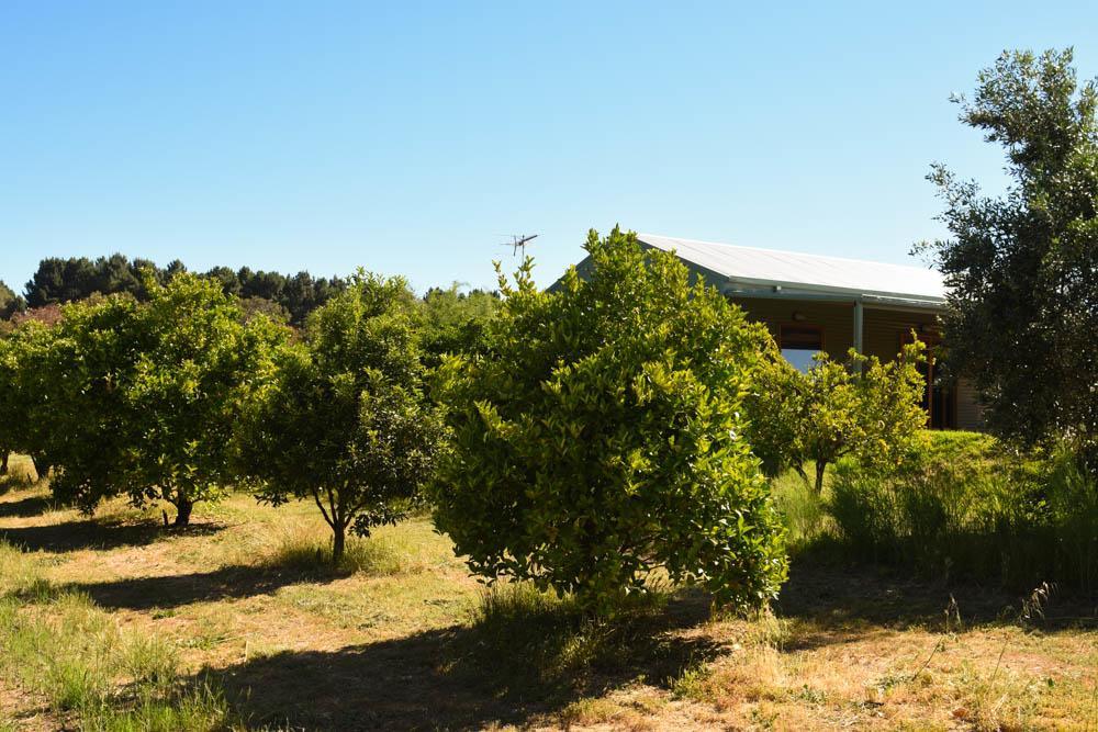 Swan Valley Sisters Henley Brook Екстер'єр фото