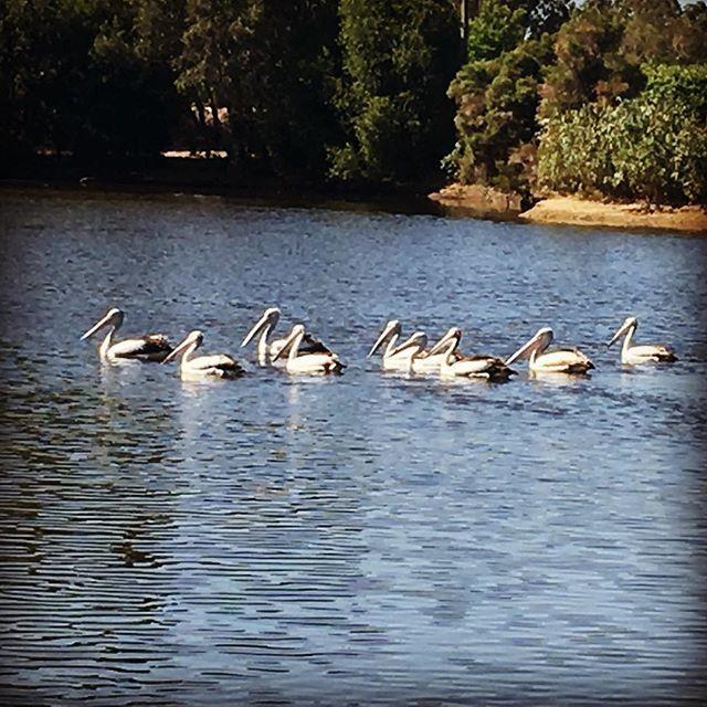 Swan Valley Sisters Henley Brook Екстер'єр фото